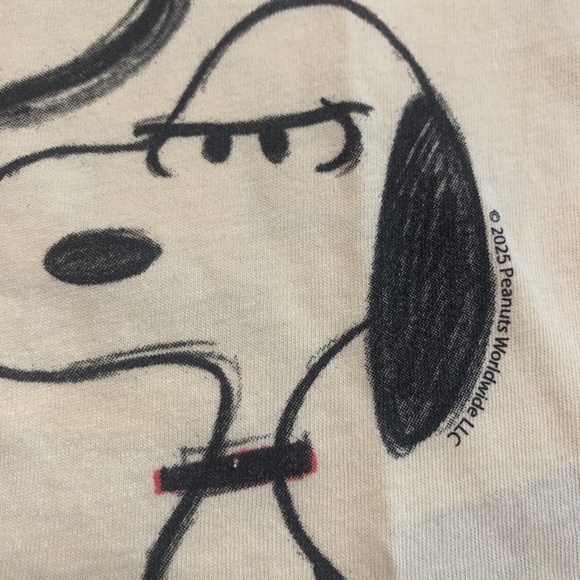 Peanuts Snoopy Charlie Brown Graphic T-Shirt Short Sleeve Toddler Unisex NWT - Picture 5 of 10